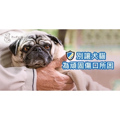 頑固傷口衛教.jpg