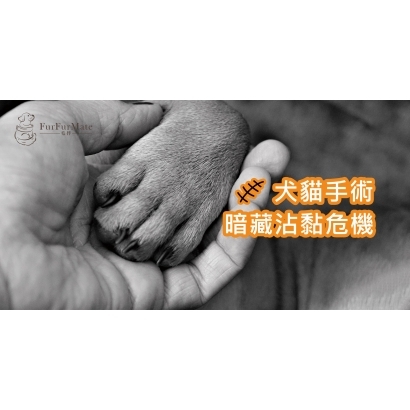 術後沾黏衛教.jpg