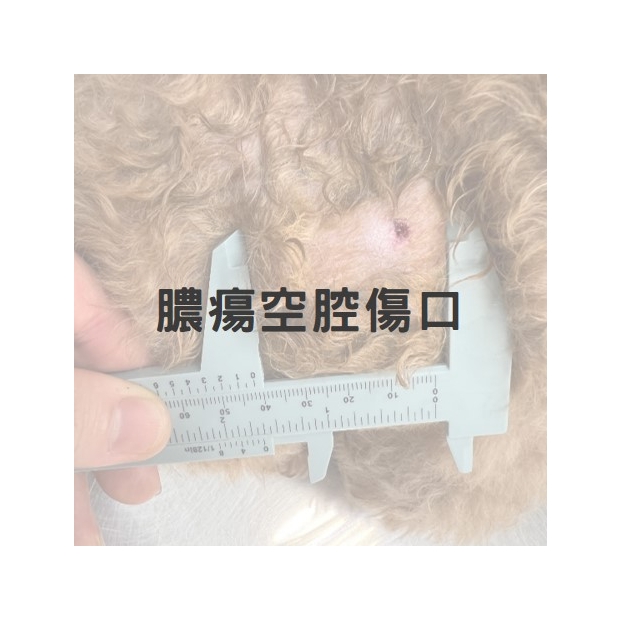 皮下膿瘍之空腔傷口_皮下硬塊1.jpg