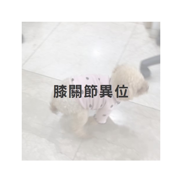 膝關節異位1.jpg