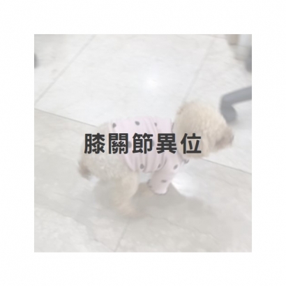 膝關節異位1.jpg
